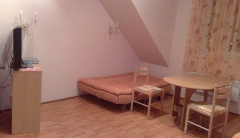 Villa Renan Karlovy Vary - POD JELENÍM - Mansarda (bez snídaně)